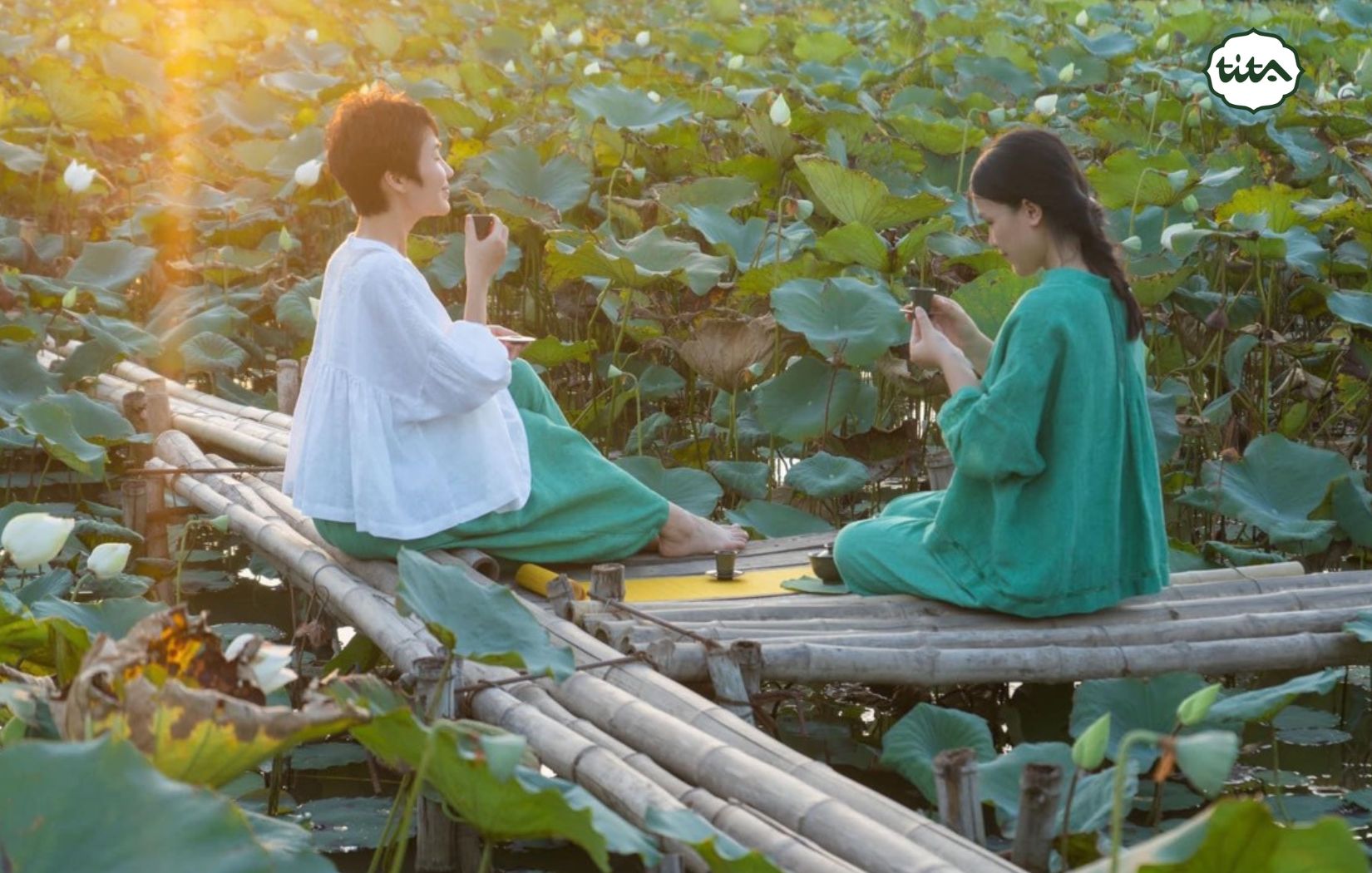 trà sen gạo